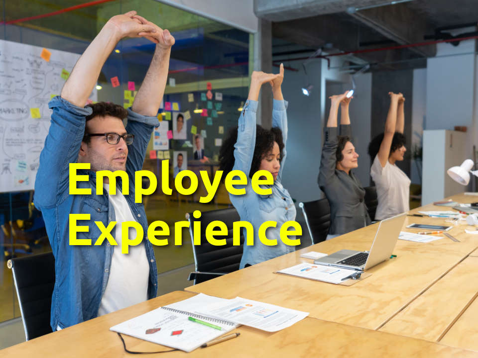 employee experience link talent