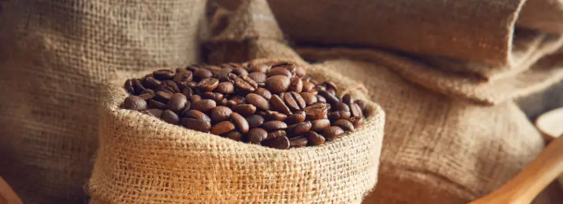 grano de especialidad proviene de procesos de selección rigurosos