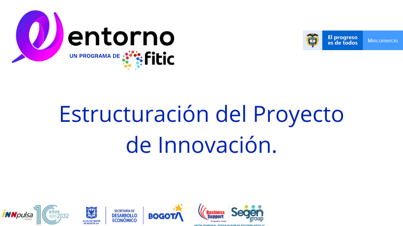 Estructuraci�n del proyecto de Innovaci�n