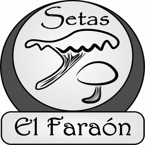 SETAS EL FARAON