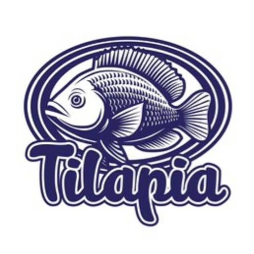 produccin pisccola de tipo tilapia roja y negra