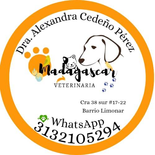 madagascar veterinaria