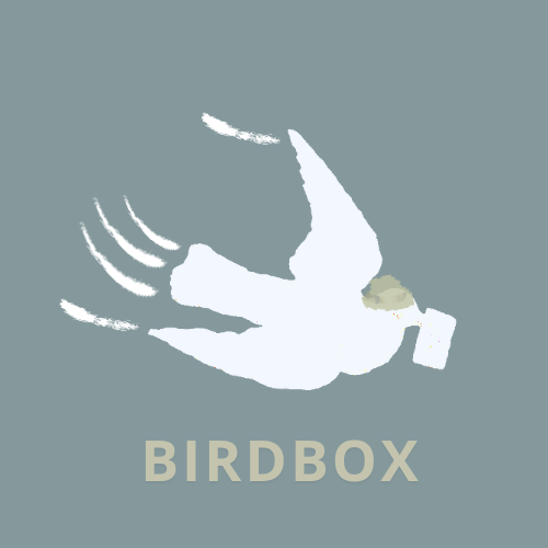 Portafolio de BirdBox
